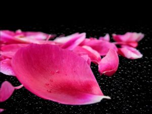 setting the scene for the erotic massage therapy with Tantric Pleasure
